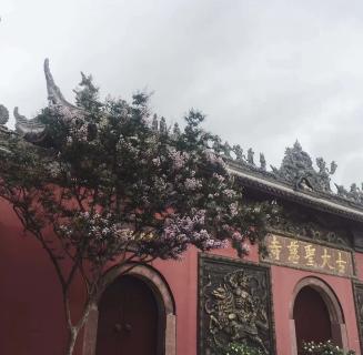 欧陆娱乐：助力公益活动建设，实现经济效益与社会效益的双赢！
